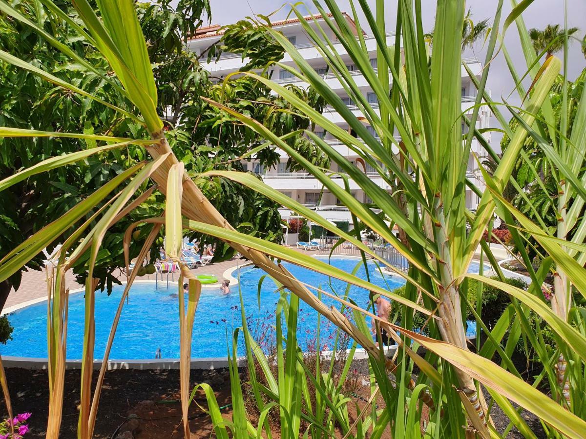 Spectacular Renovated Apartment, 5 Min To Camison Beach, With Aircon อาโรนา ภายนอก รูปภาพ